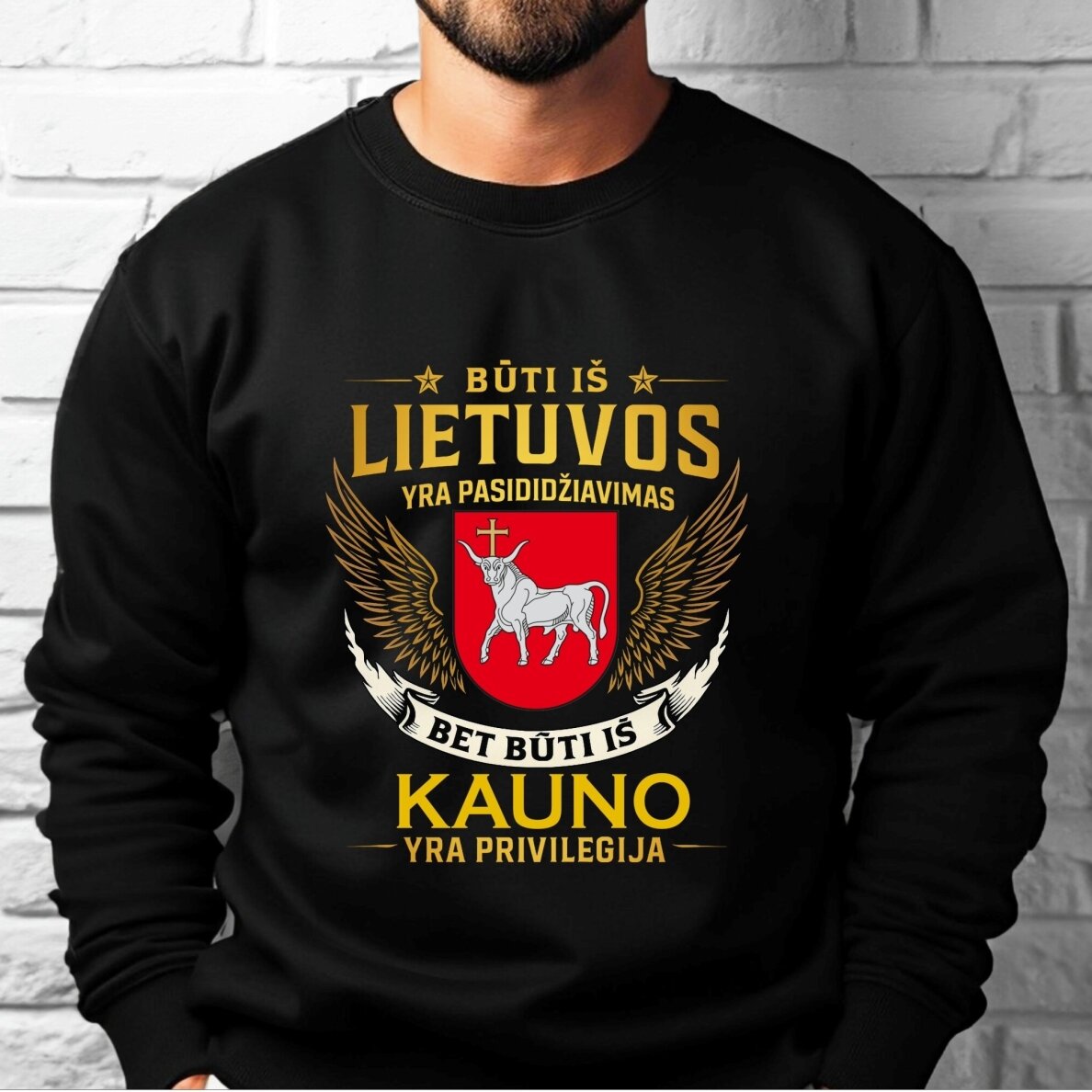 Džemperis Mano miestas