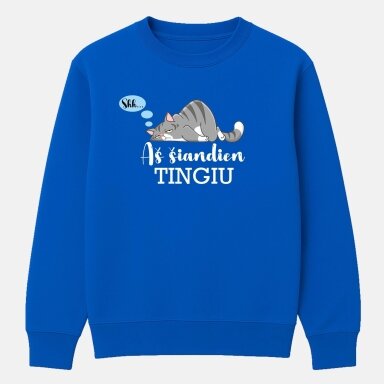 Džemperis Šiandien Tingiu