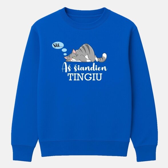 Džemperis Šiandien Tingiu 1