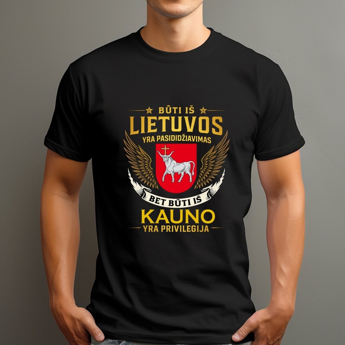 Marškinėliai Mano miestas